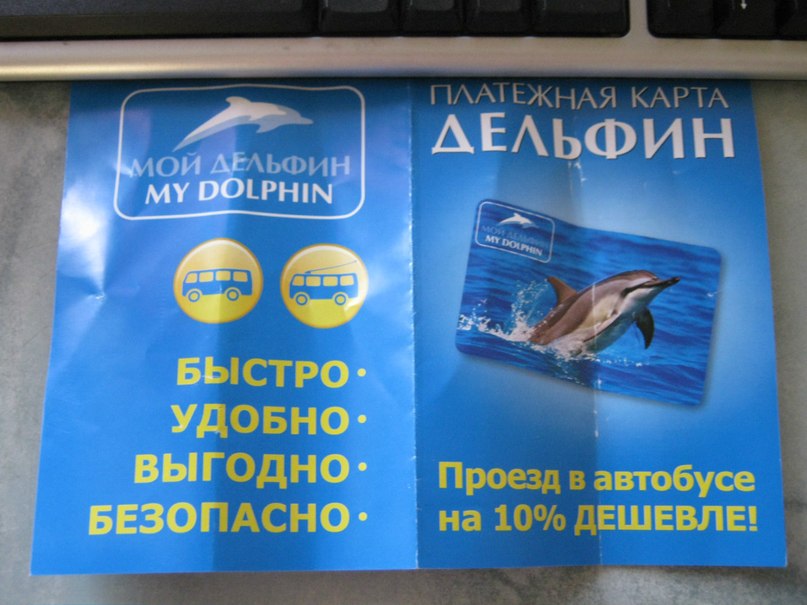 Покупаем дельфина 